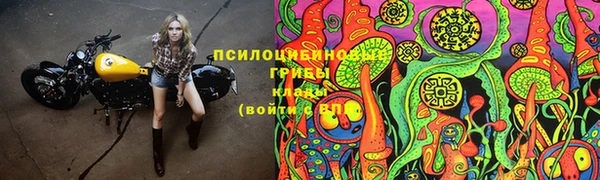гидропоника Лагань