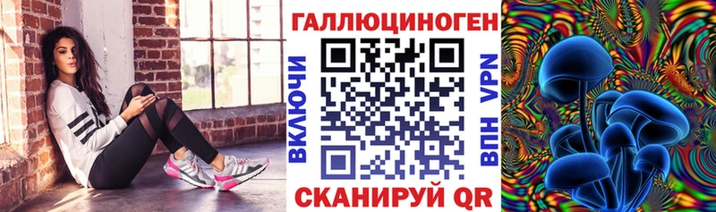 Псилоцибиновые грибы Psilocybine cubensis  Химки 