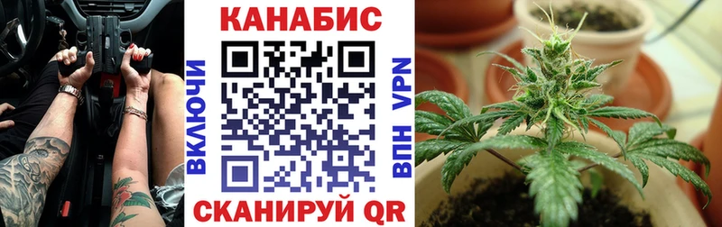 OMG онион  Химки  Канабис планчик  закладка 